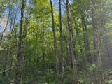 LOT 7 Dream Lake Rd - Photo 5