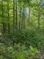 TBD Dream Lake Rd - Photo 6