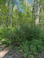 TBD Dream Lake Rd - Photo 8