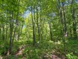 4824N Lake Winter Rd - Photo 61
