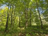 4824N Lake Winter Rd - Photo 62