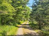 4824N Lake Winter Rd - Photo 65