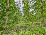 36.5 ac Hwy 139 - Photo 19