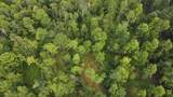 36.5 ac Hwy 139 - Photo 29