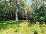 Lot 1 Briggs Ln - Photo 9