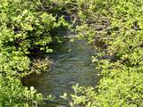 W14905 Parrish Rd - Photo 40