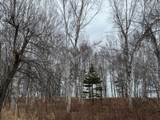 E 380 Lake Rd - Photo 16
