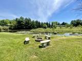 1210 Pine Ridge Rd - Photo 34