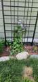 3903 Tamarack Lake Rd W - Photo 37