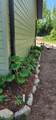 3903 Tamarack Lake Rd W - Photo 40