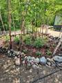 3903 Tamarack Lake Rd W - Photo 44