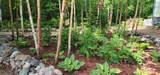 3903 Tamarack Lake Rd W - Photo 47