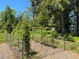 670 Mcguire Rd - Photo 37