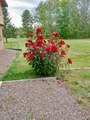 6854 Zett Rd - Photo 38
