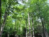 Lot 32 White Pine Loop - Photo 10