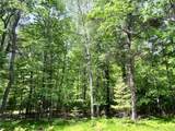 Lot 32 White Pine Loop - Photo 3