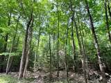 Lot 32 White Pine Loop - Photo 5