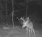 11305 Cth M - Photo 34