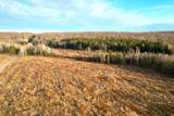 10 Acres Cth N - Photo 10