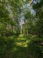 W10429 West Forest Ln - Photo 36