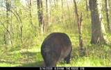 W10429 West Forest Ln - Photo 50