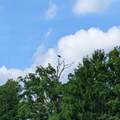 W10429 West Forest Ln - Photo 68