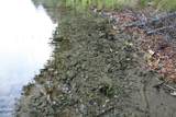 TBD University Dr - Photo 27