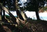 TBD University Dr - Photo 28