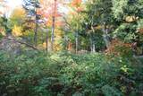 TBD University Dr - Photo 36