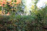 TBD University Dr - Photo 38