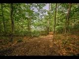ON Bluebird Rd - Photo 10