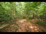 ON Bluebird Rd - Photo 13