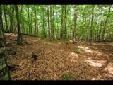 ON Bluebird Rd - Photo 14