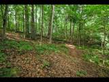 ON Bluebird Rd - Photo 16