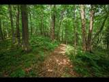 ON Bluebird Rd - Photo 18