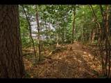 ON Bluebird Rd - Photo 9