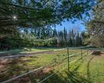 2678 Hwy 45 - Photo 4