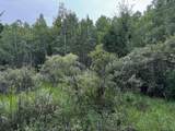 0000 Pine Lake Rd - Photo 14