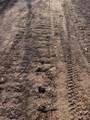 0000 Pine Lake Rd - Photo 16
