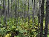 0000 Pine Lake Rd - Photo 8