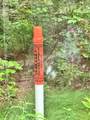 0000 Pine Lake Rd - Photo 10