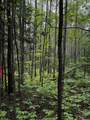 0000 Pine Lake Rd - Photo 6