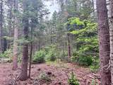 0000 Pine Lake Rd - Photo 9