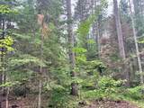 0000 Pine Lake Rd - Photo 5