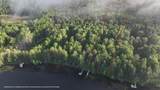 9035 Sunshine Dr - Photo 4
