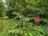W10716 Joe Snow Rd - Photo 5