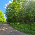 ON Pitts Rd - Photo 1