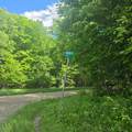 ON Pitts Rd - Photo 6
