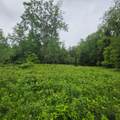 ON Pitts Rd - Photo 7