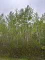ON Burrows Lake Rd - Photo 1